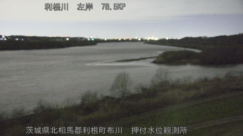 tonos2026030804_image