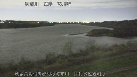 tonos2026030805_image