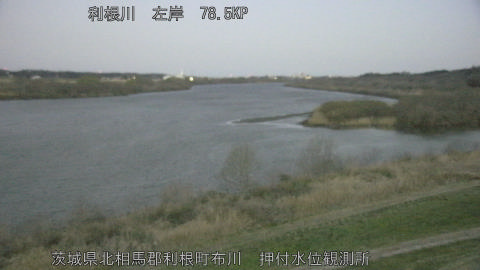 tonos2026030806_image