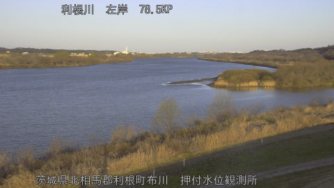 tonos2026030807_image