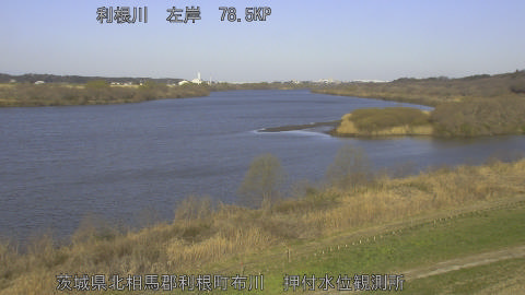 tonos2026030808_image