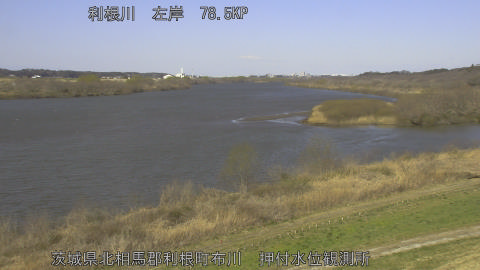 tonos2026030810_image