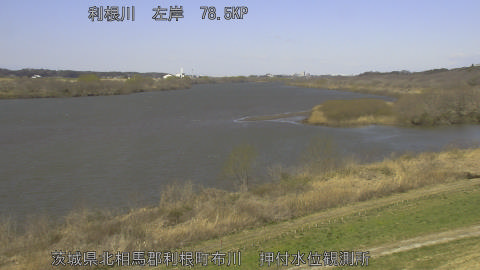 tonos2026030811_image