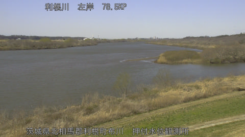 tonos2026030812_image