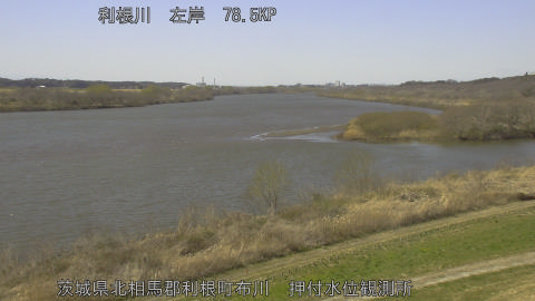 tonos2026030813_image