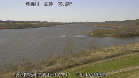 tonos2026030814_image