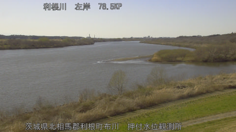 tonos2026030815_image