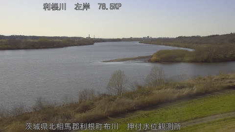 tonos2026030816_image