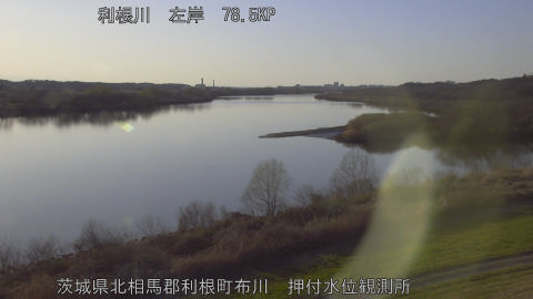 tonos2026030817_image