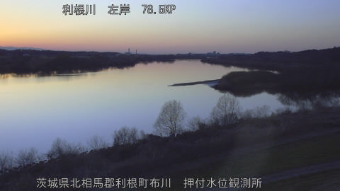 tonos2026030818_image