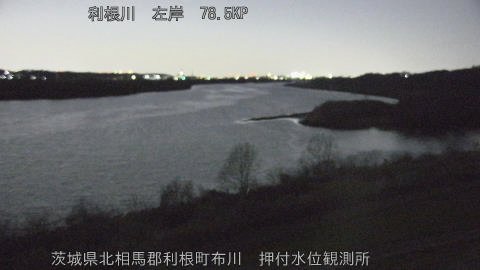 tonos2026030819_image