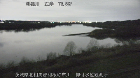 tonos2026030905_image