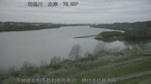 tonos2026030906_image