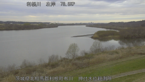 tonos2026030907_image