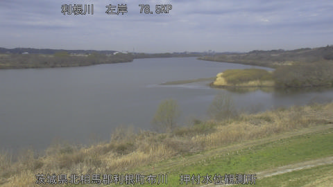 tonos2026030909_image