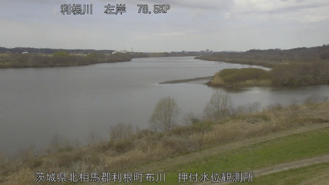 tonos2026030911_image