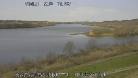 tonos2026030912_image