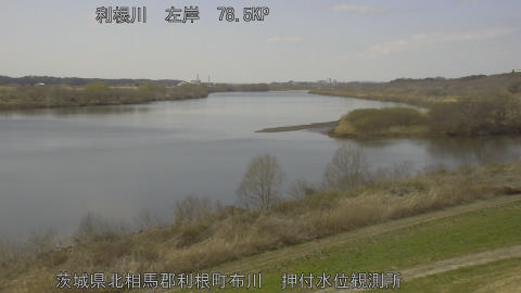 tonos2026030913_image