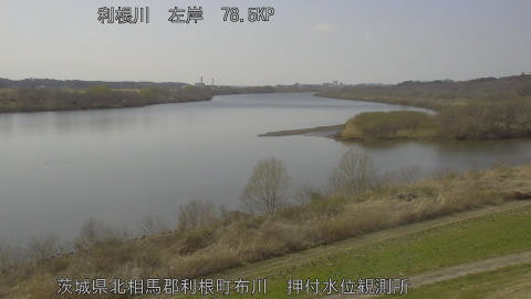 tonos2026030914_image