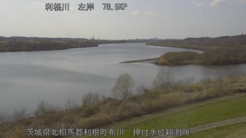 tonos2026030915_image