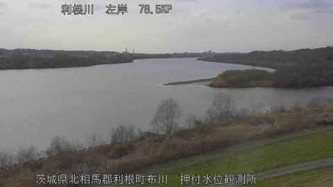 tonos2026030916_image