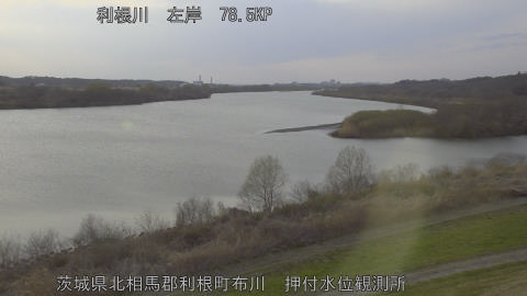 tonos2026030917_image