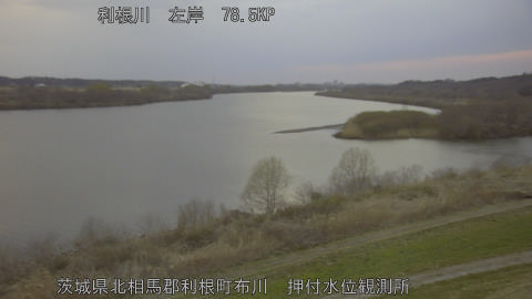 tonos2026030918_image