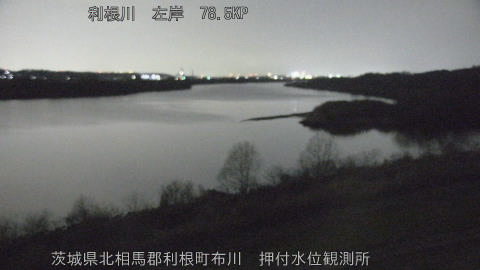 tonos2026030919_image