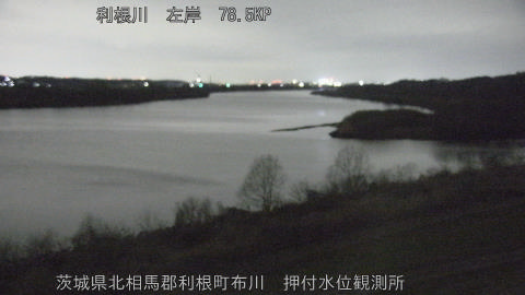 tonos2026031000_image