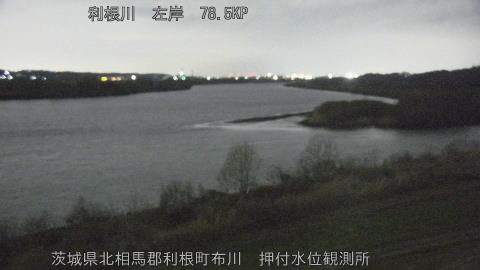 tonos2026031004_image