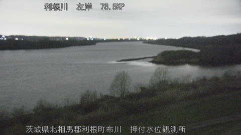 tonos2026031005_image