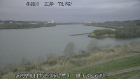 tonos2026031006_image