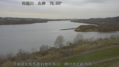 tonos2026031007_image