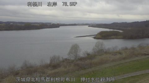 tonos2026031008_image