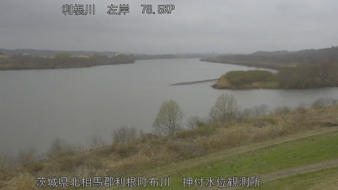 tonos2026031009_image