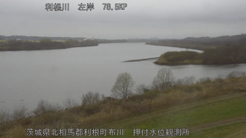 tonos2026031010_image