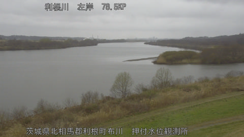 tonos2026031011_image