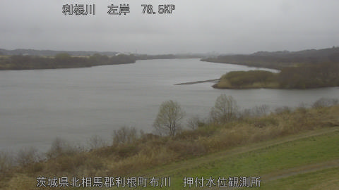 tonos2026031012_image