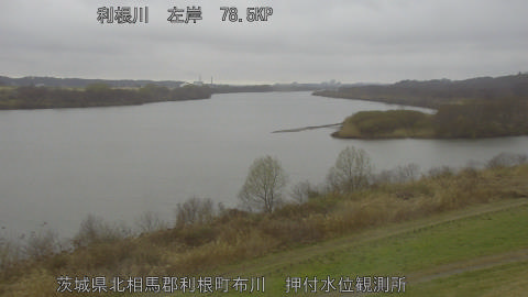 tonos2026031013_image