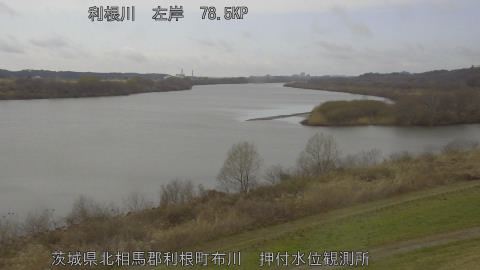 tonos2026031014_image