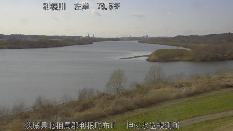 tonos2026031015_image