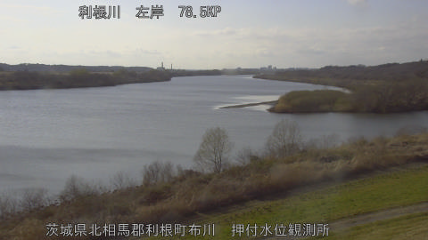 tonos2026031016_image