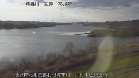 tonos2026031017_image