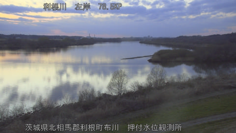 tonos2026031018_image