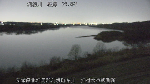 tonos2026031105_image