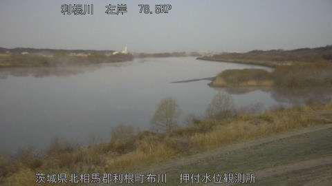 tonos2026031106_image