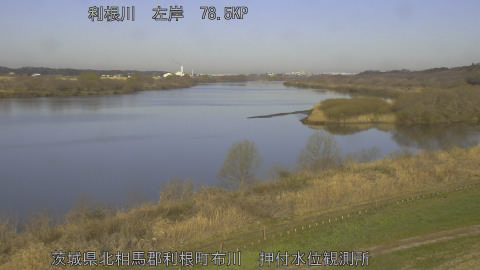 tonos2026031108_image