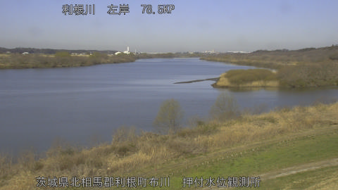 tonos2026031109_image