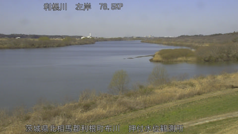 tonos2026031111_image