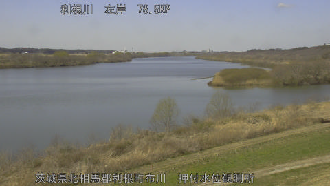 tonos2026031112_image